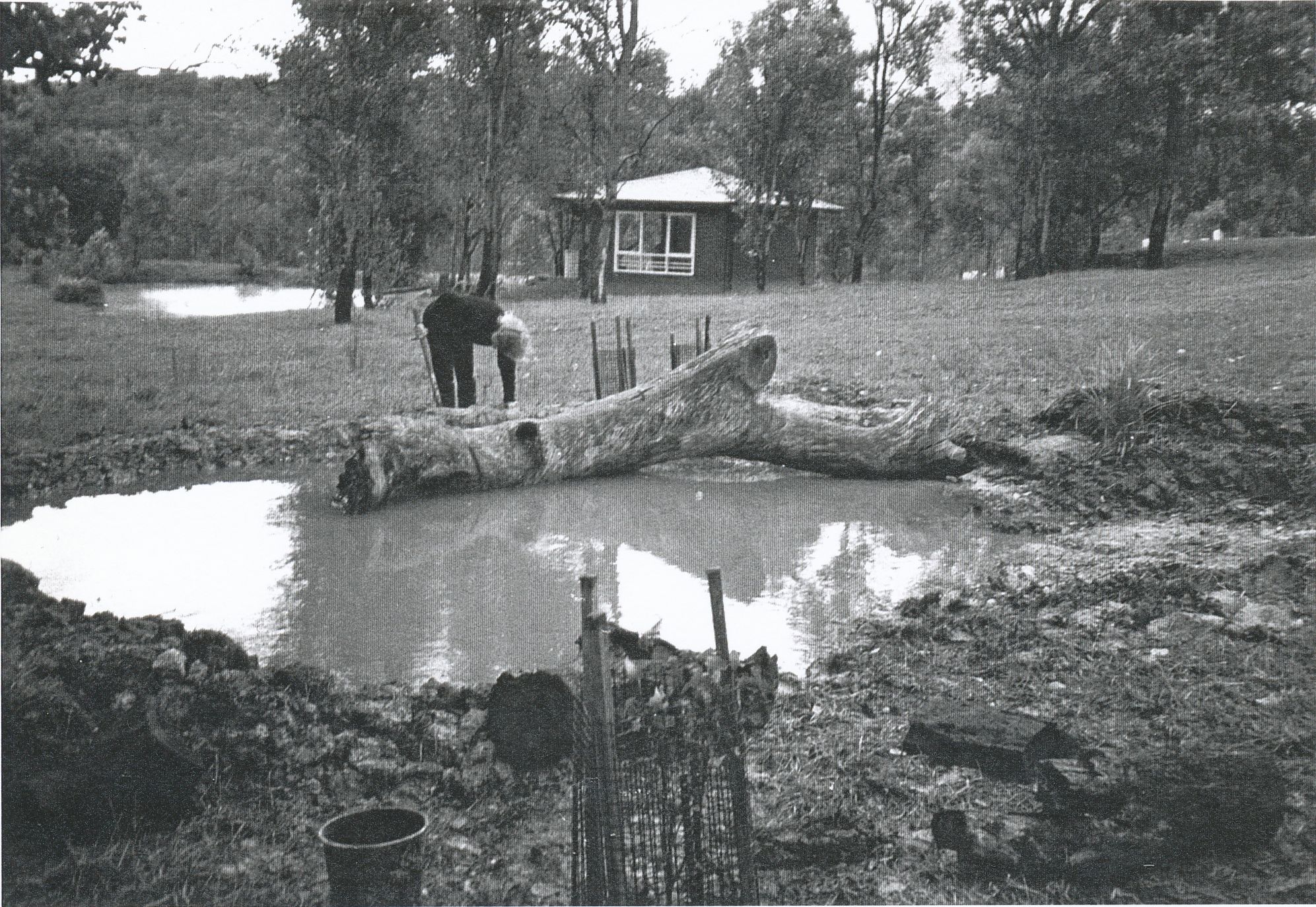 1992