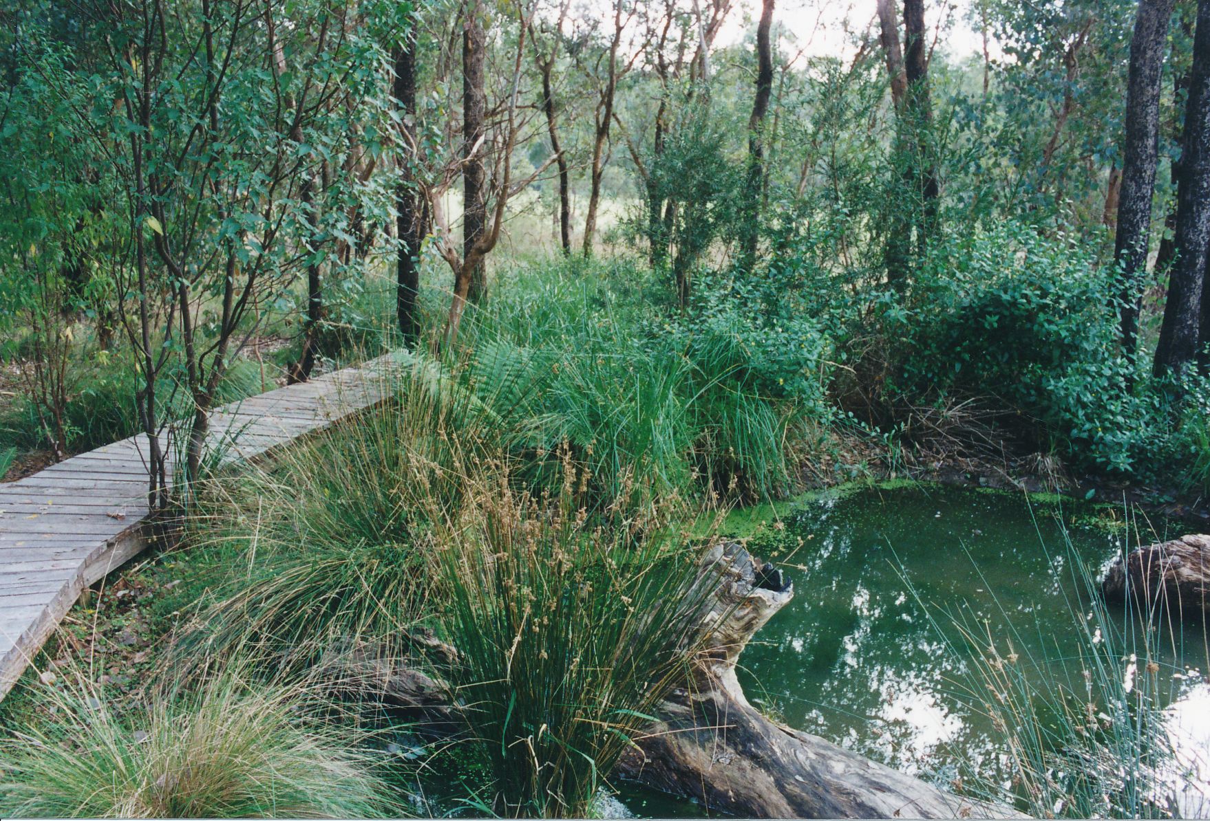 1996