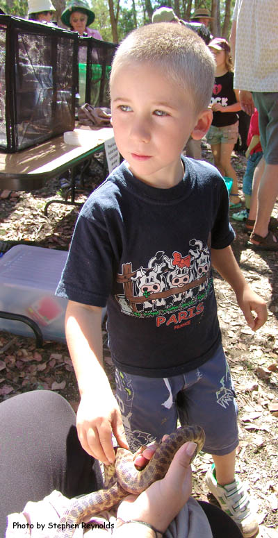 Snake handling