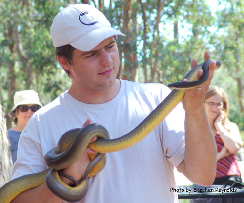 snake handler