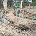 05 - Week two, and the artificial wetland