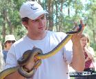 snake handler